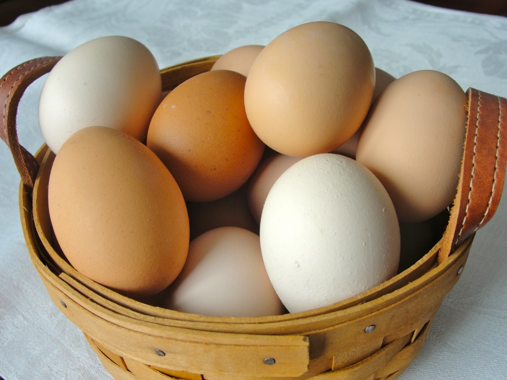 farm fresh eggs