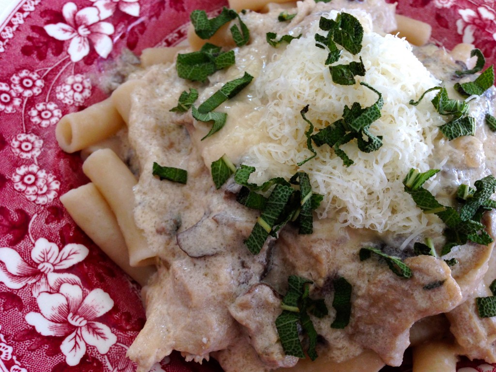 Chicken & Mushroom Stroganoff