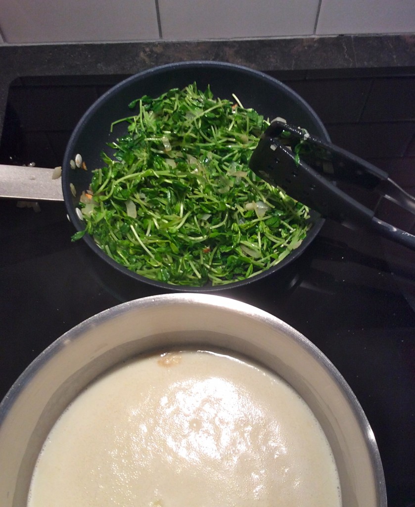 Spring Pea Shoot Soup