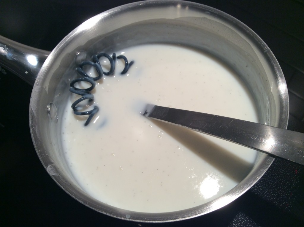 Vanilla Bean Pudding Mix