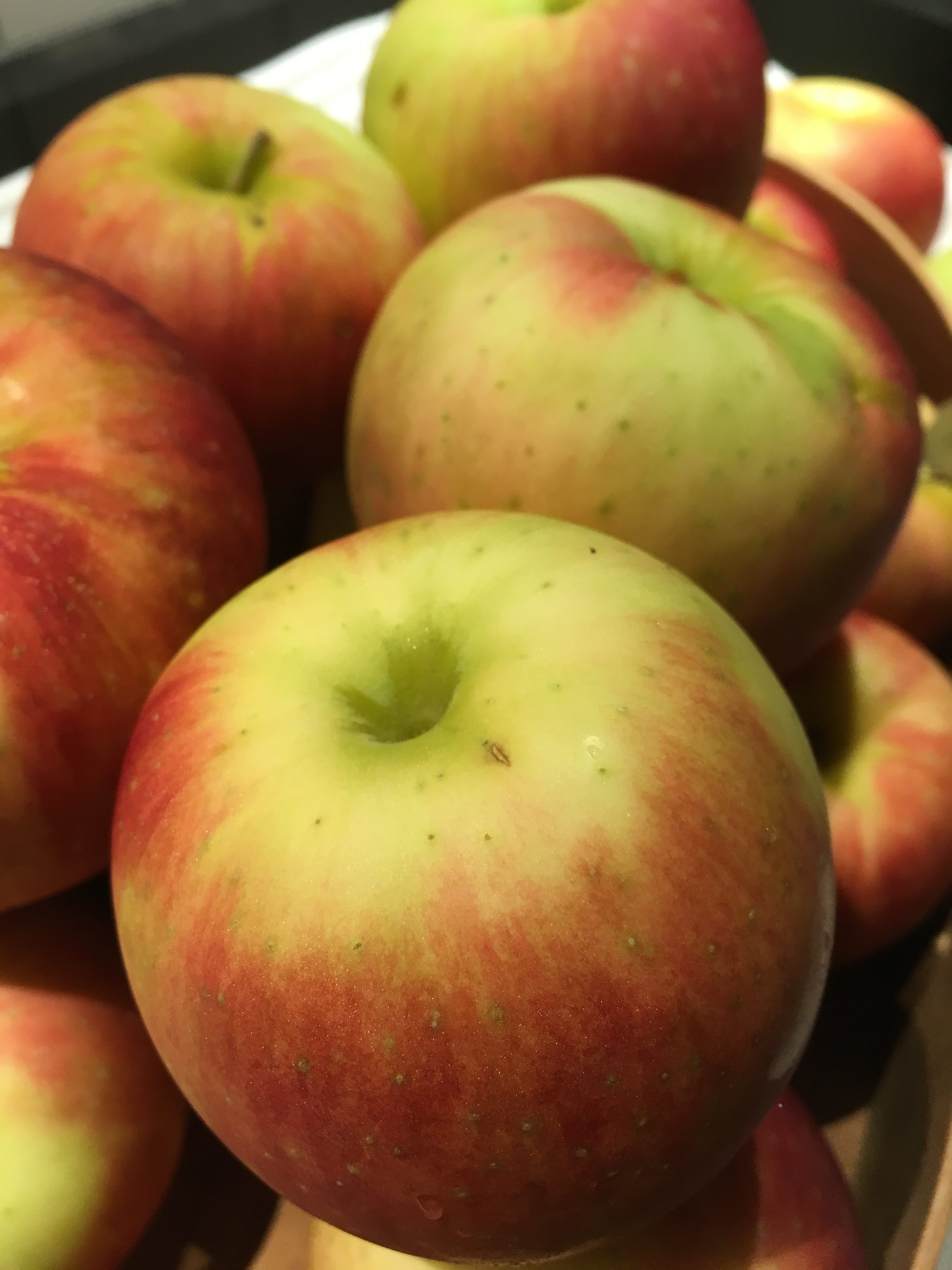 Zestar Apples