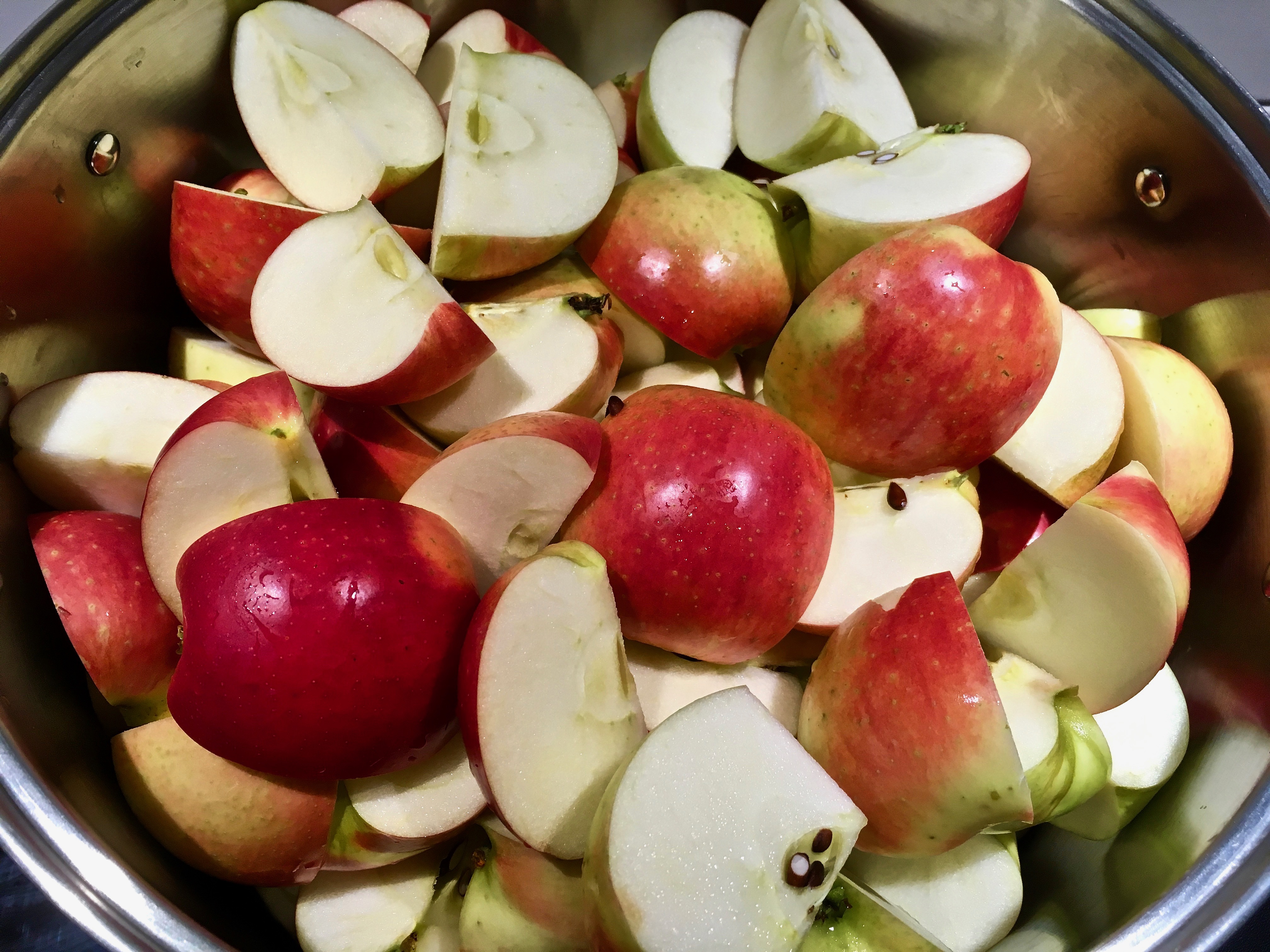 Homemade Applesauce