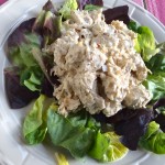 Chicken Salad with a Taste of Mexico